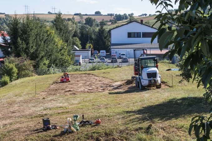 Bienenweide Bienenweide
