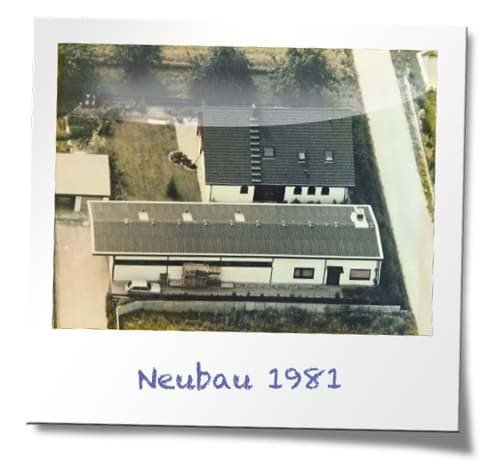 Neubau Bammental