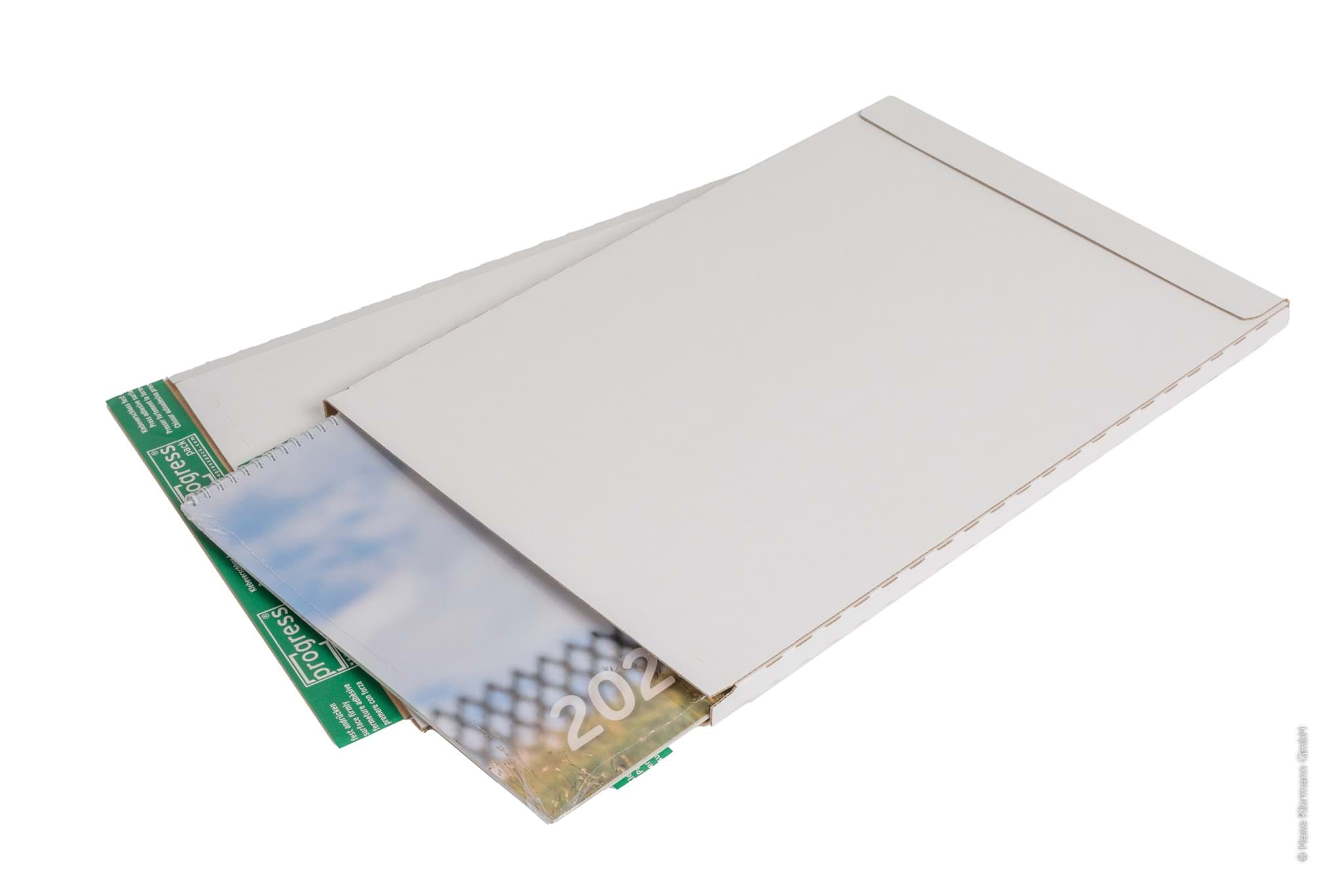 Bild von Briefbox A3 progress® PACK PP BB06.08-2, 310x430x15 mm